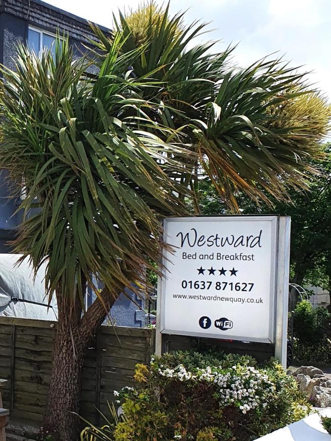 Westward B&B New Quay Εξωτερικό φωτογραφία